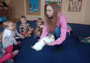 Obserwujemy zwierzęta.