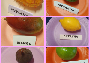 owoce takie jak: kiwano, mango itp.