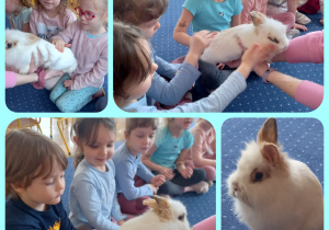Dzieci głaszczą królika.