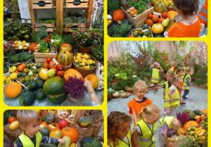 Dzieci dotykają warzyw na wystawie.