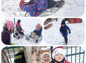 Tygryski na śnieżnym szaleństwie!