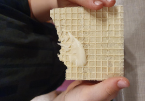miód na wafelku