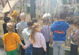 Dzieci oglądają wybieg tapira