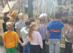 Warsztaty w Orientarum