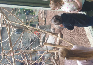 Grupa poznaje makaki