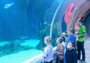 Dzieci oglądają podwodny świat