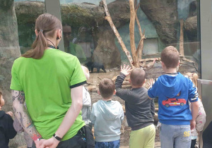 Grupa słucha ciekawostek o słoniach