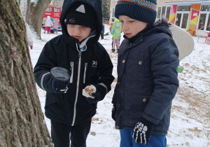 Zabawy badawcze z lupą