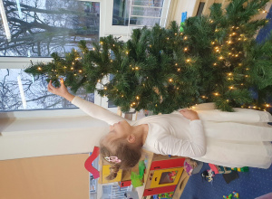 Tygryski ubierają choinkę