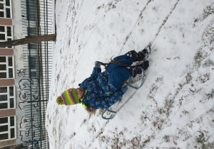 chłopiec zjeżdża na sankach