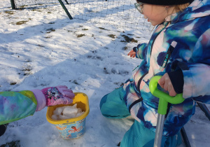 dzieci wkłądają śnieg do wiaderka
