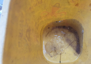 brudna woda w wiaderku