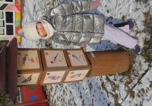 Dziewczynka ogląda ilustracje ptaków