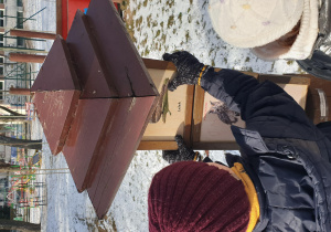 Chłopiec odnajduje odpowiednią kategorię ptaków