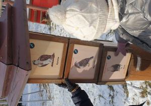 Dzieci odszukują ptaki drapieżne