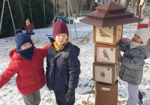 Dziewczynka odszukuje ptaki u nas zimujące