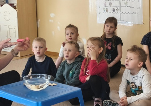 Oglądamy talerzyk z plasteliny