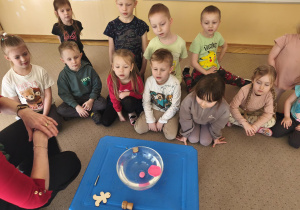 Sprawdzamy talerzyk z plastelimy pływa, czy tonie