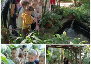 Dzieci słuchajać Pani przewodnik