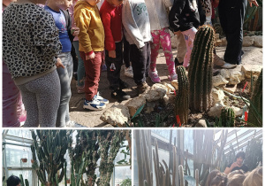 Dzieci oglądają roślinność