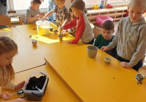 Chłopiec sypie nasionka do doniczki