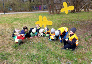 Grupa dzieci przygląda się kwitnącym wiosennym kwiatom