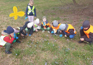 Dzieci oglądają cebulicę