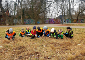 Grupa ogląda kwitnące fiołki