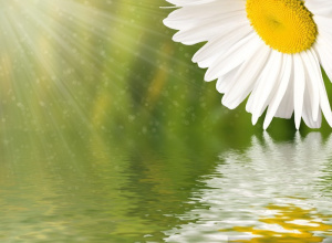 Widzimy w Tobie dobro – wzmacnianie relacji w naszej grupie