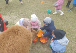 Dzieci siedzą obok wiadereczek z marchewką