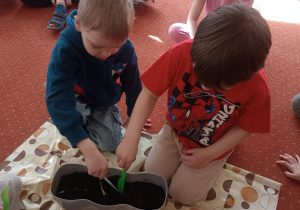 Dzieci sadzą kwiaty