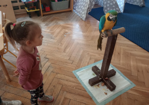 zdjęcie dziewczynki z papugą