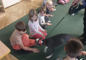dzieci karmią psa