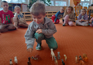 Chłopiec dotyka figurek zwierząt