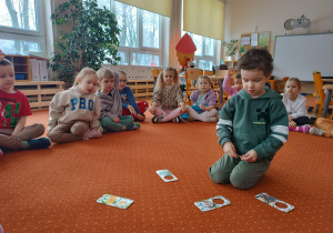 Chłopiec patrzy na obrazki zwierząt